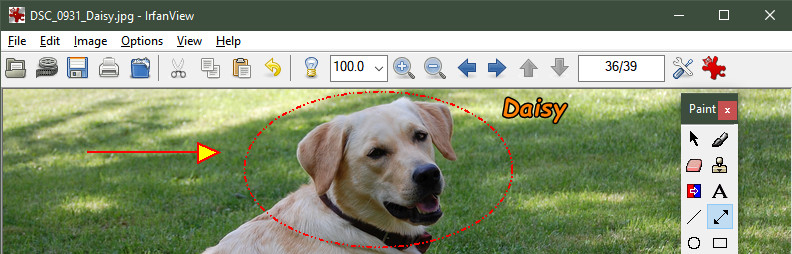 1777806315387098.png