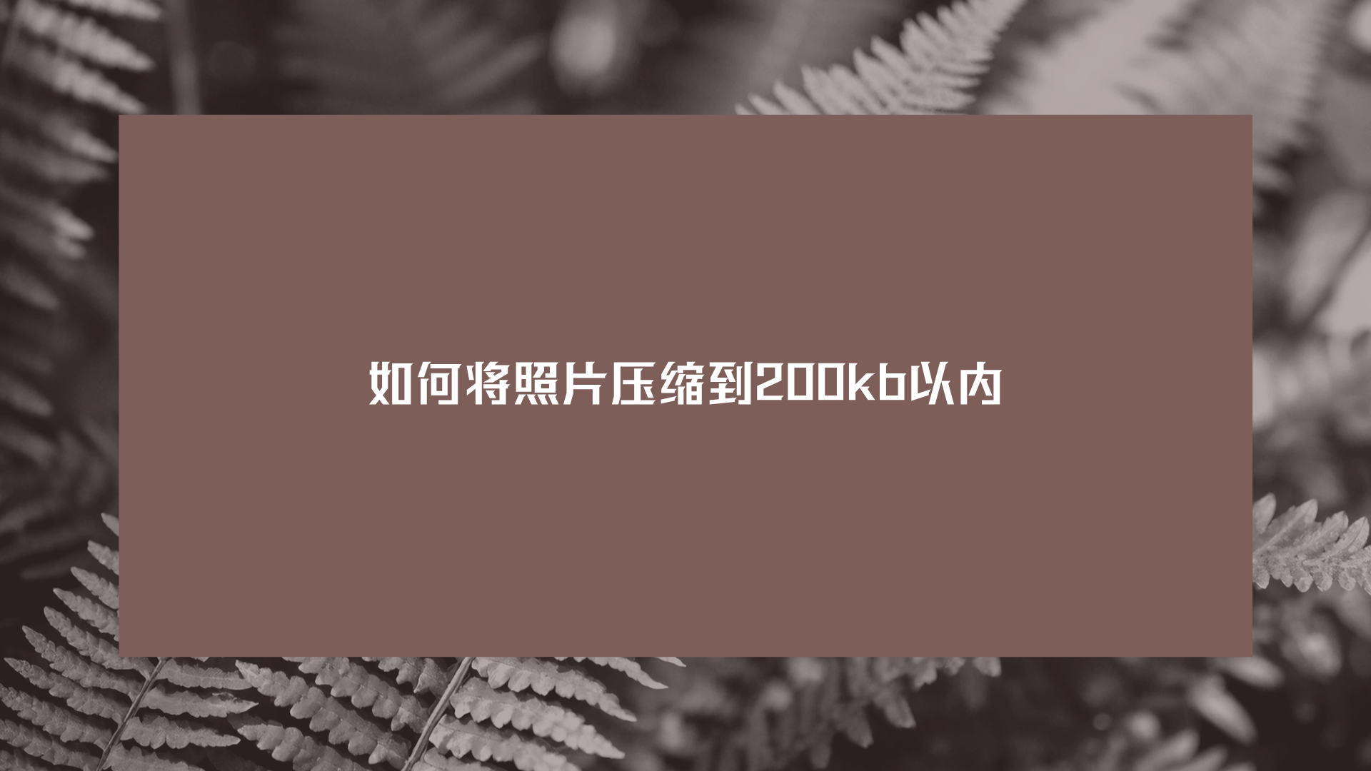 1785410321318986.png 1785410321318986.png